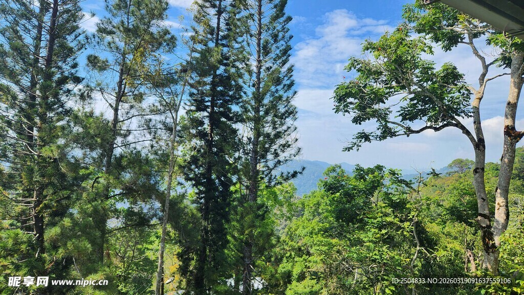 山林间的清新自然景致