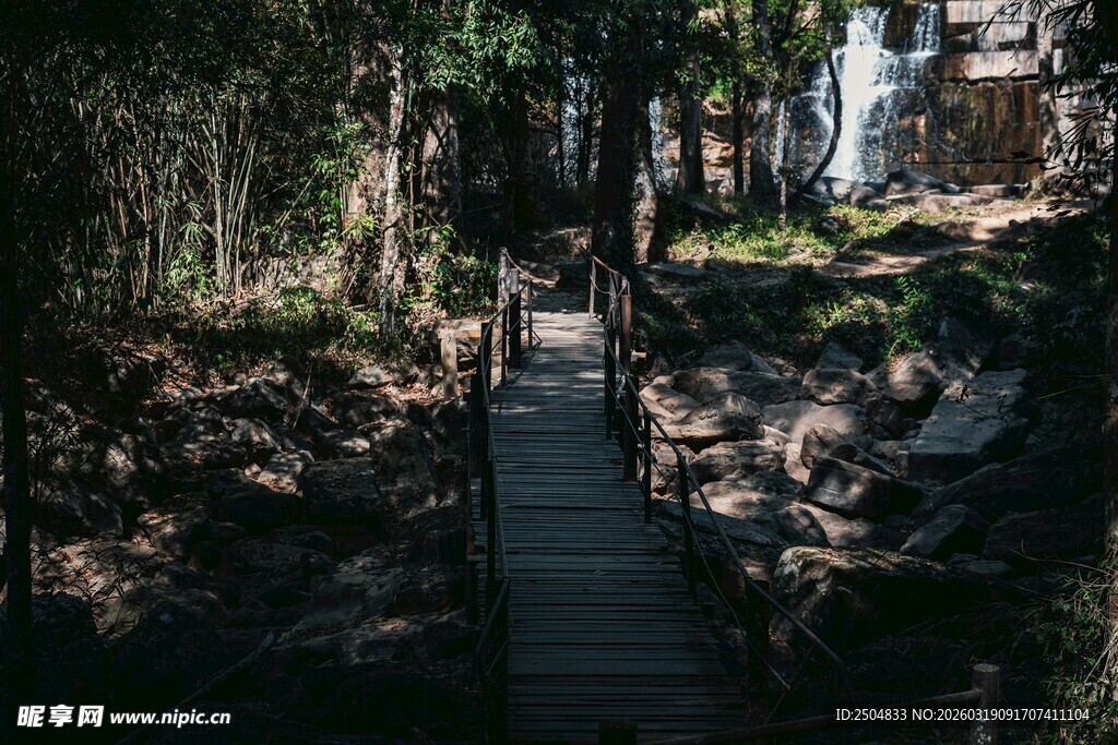林间木栈道 静谧自然景