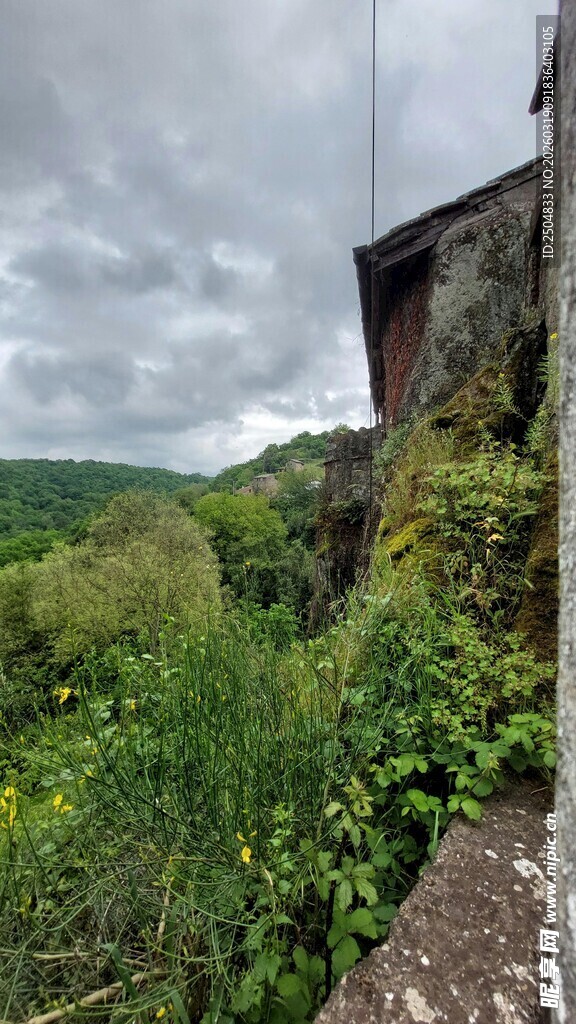 古老建筑旁的繁茂绿植
