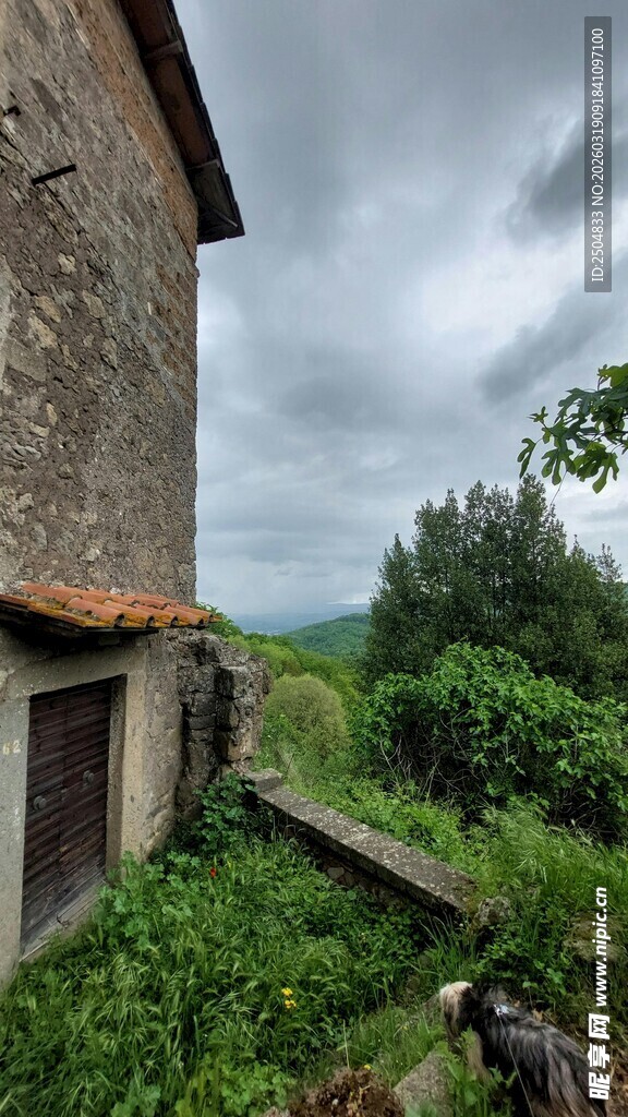 荒废老屋旁的野趣景象