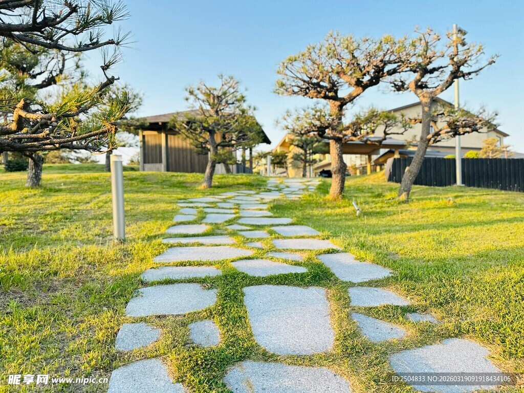 石板小径旁的葱郁树木