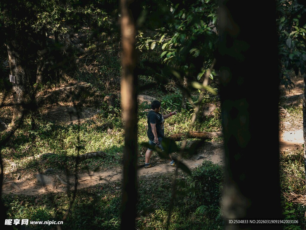林间漫步身影