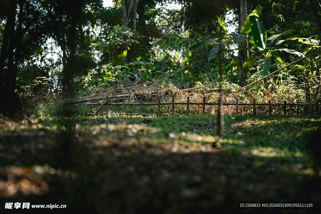 林间静谧草地与十字架