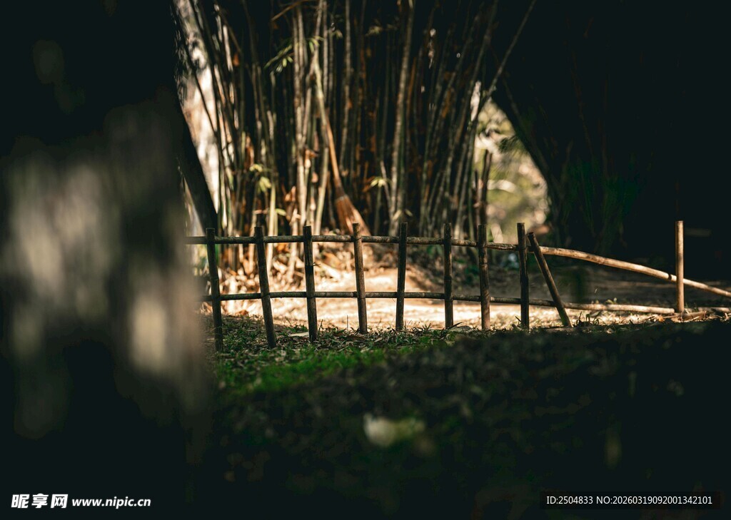 夜晚中的神秘户外场景
