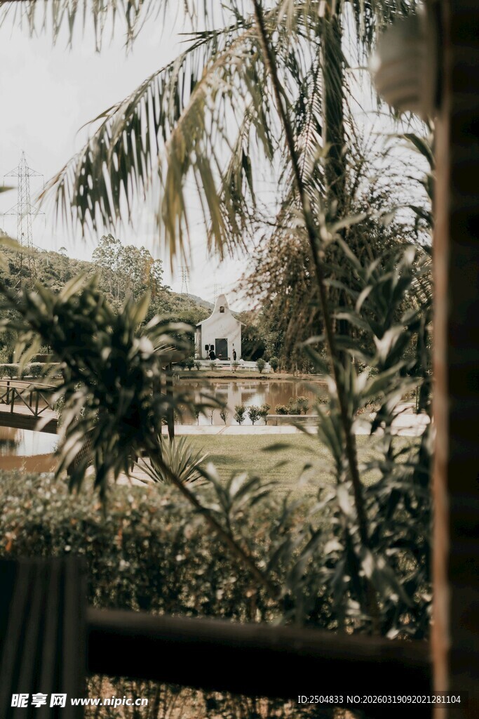 阳台外的热带植物景观
