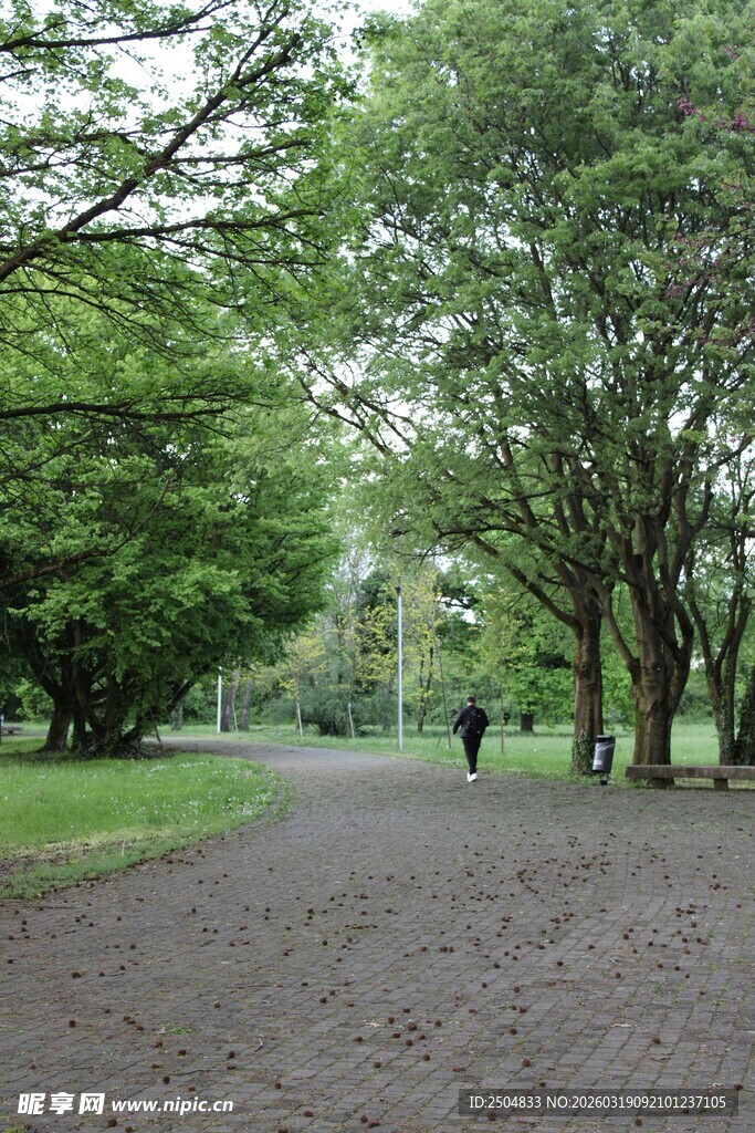 林间漫步道 悠然一人行
