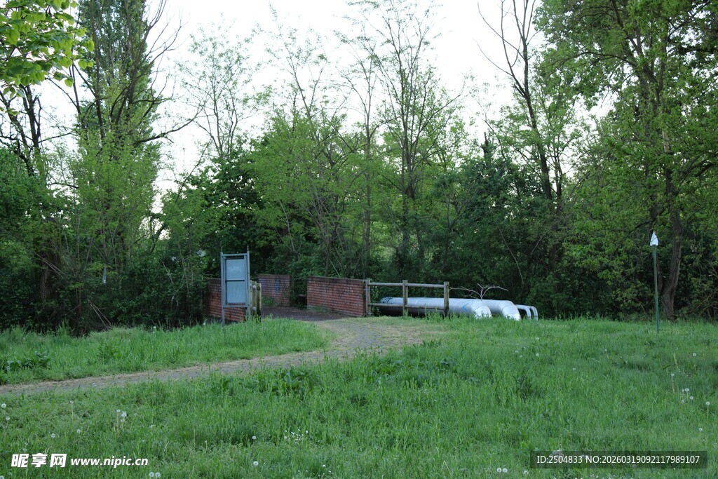 林间草地边的小屋与车辆
