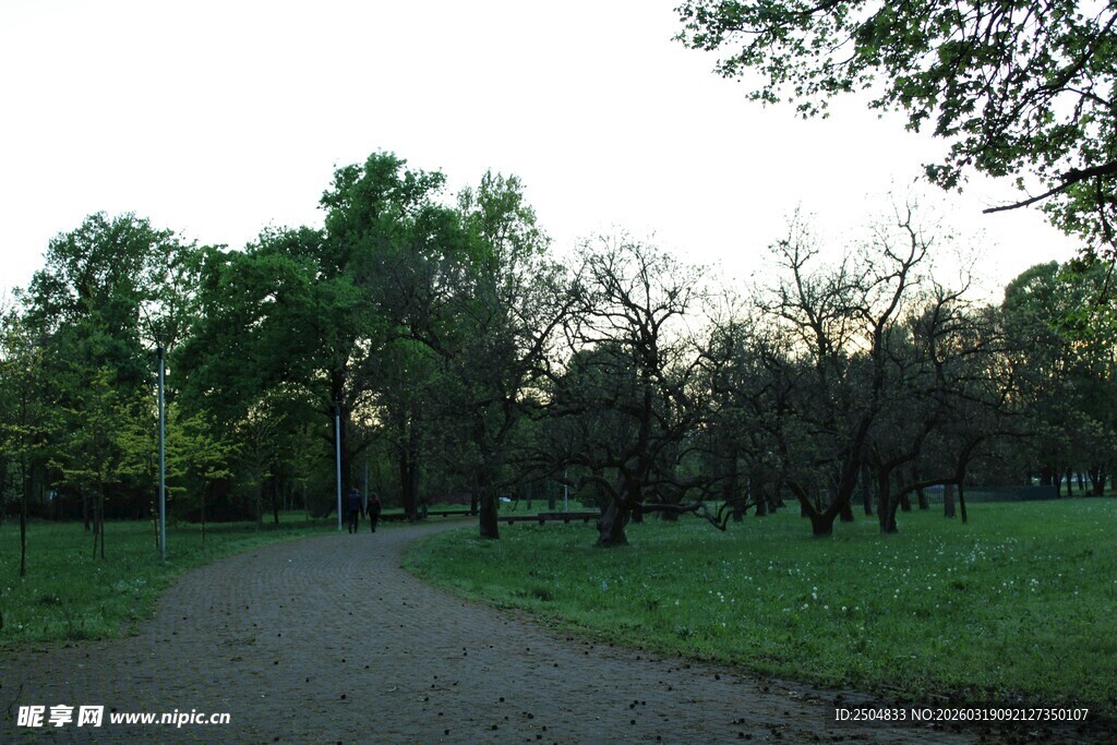林间小道 静谧自然之景