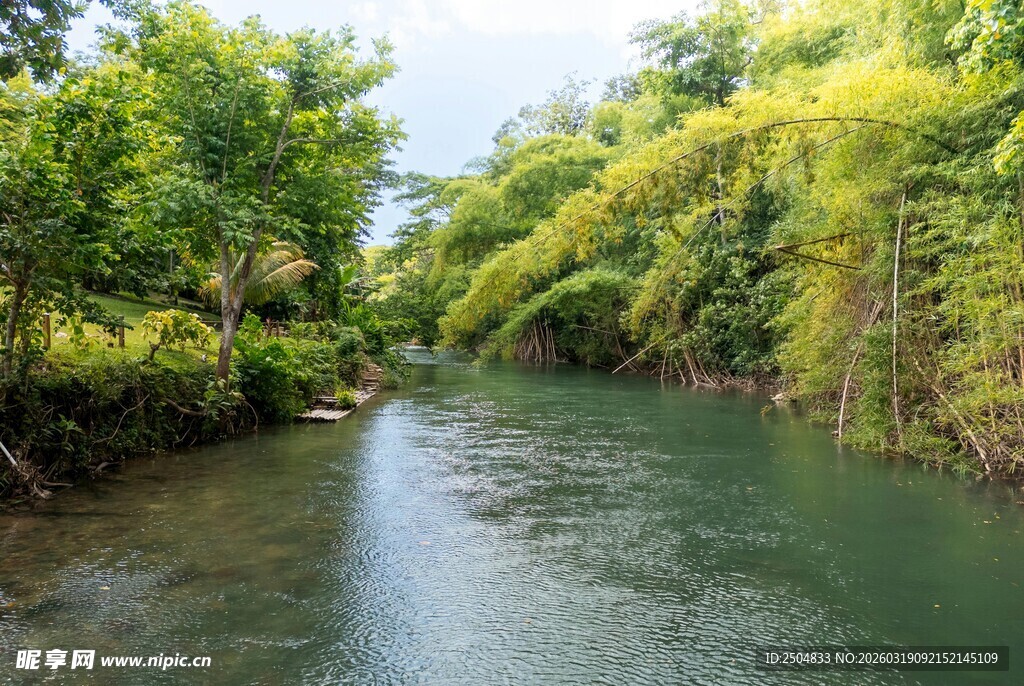 清幽河畔绿意盎然的美景