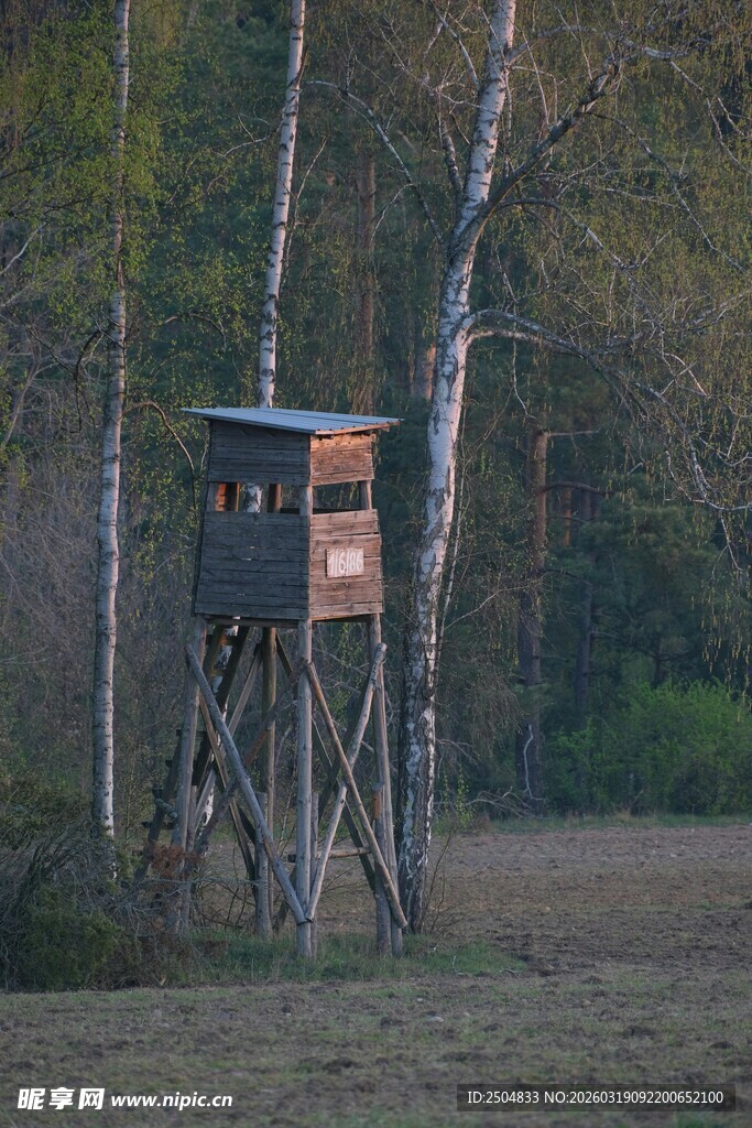 林中狩猎瞭望塔