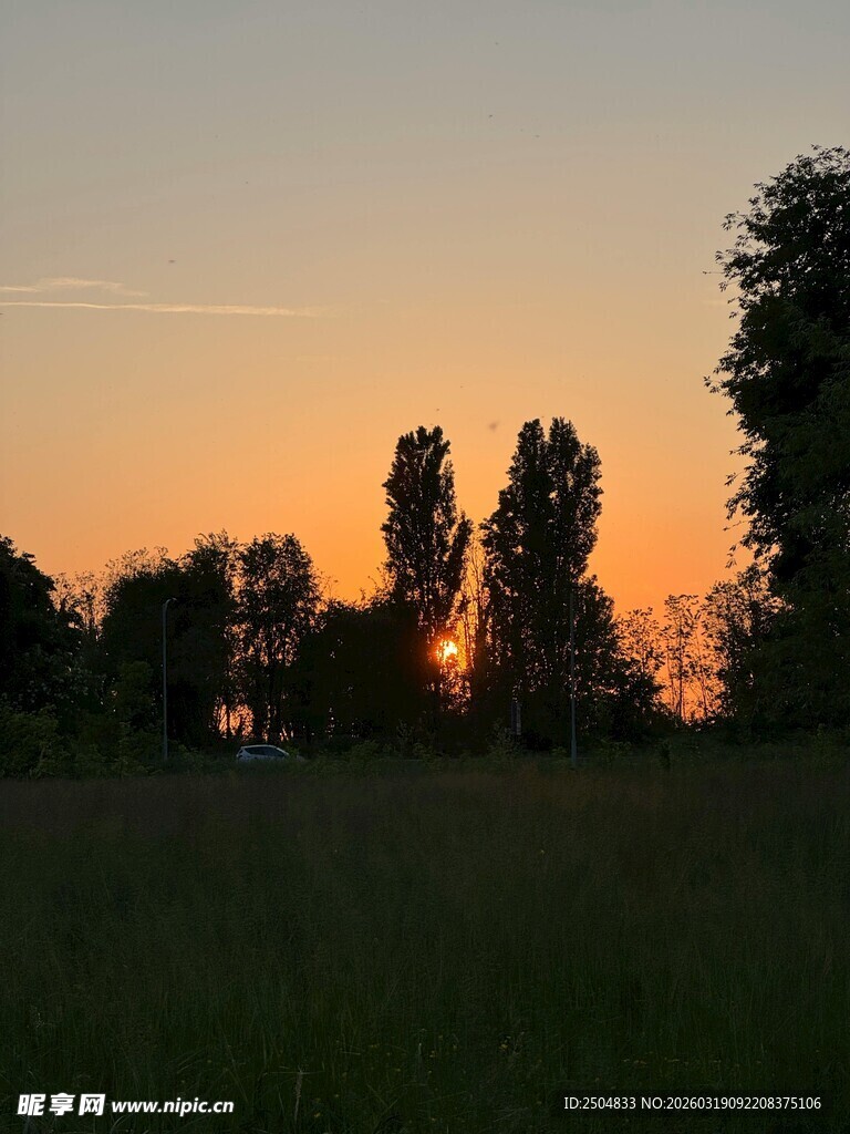 日落时分的田野树木景观