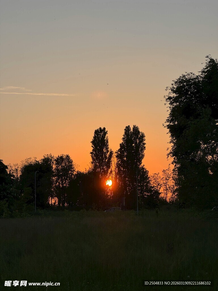 日落时分的树林美景