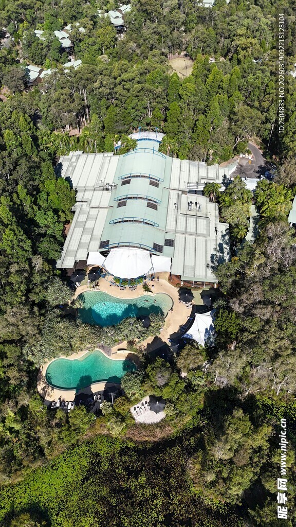 森林中的豪 度假别墅