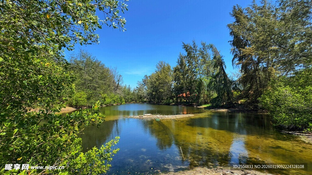 河畔绿树成荫风景如画