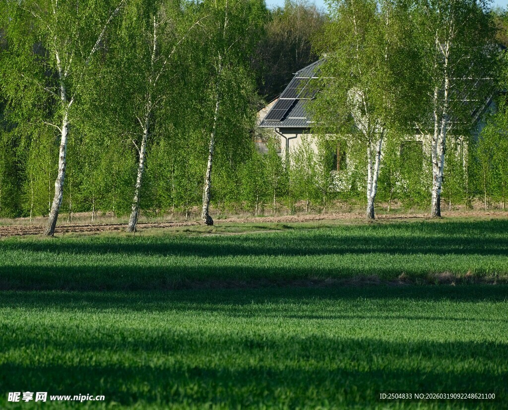 春日绿野中的静谧小屋
