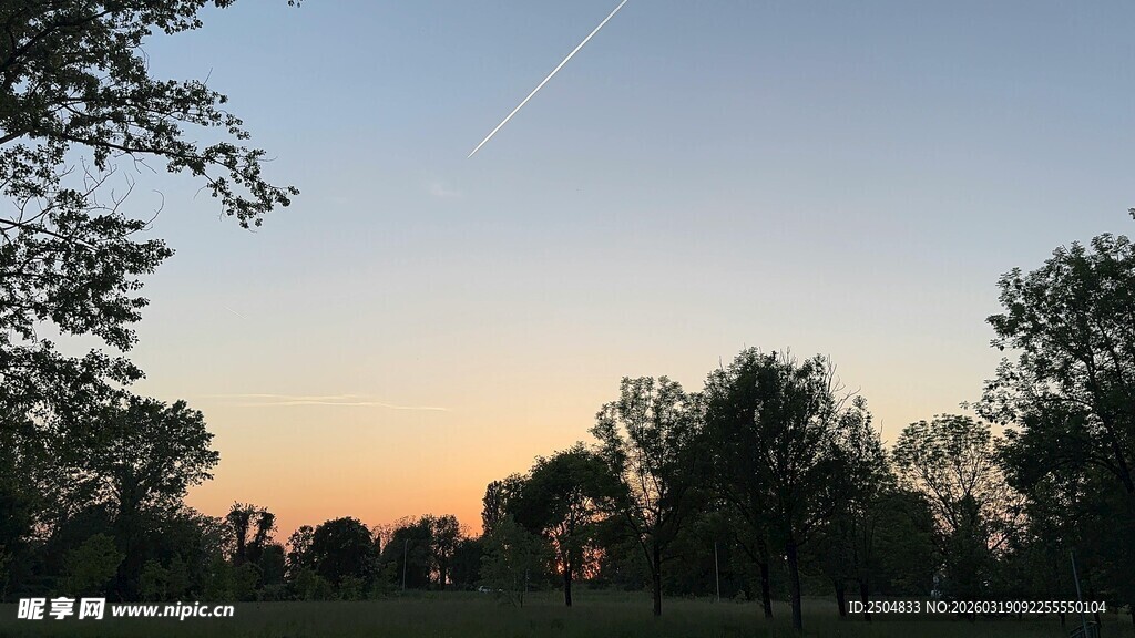 黄昏时分的树林美景