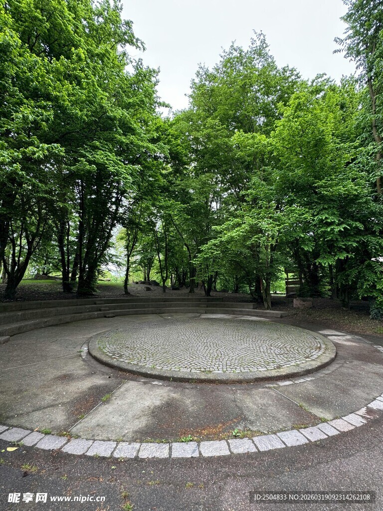 林间圆形空地景观