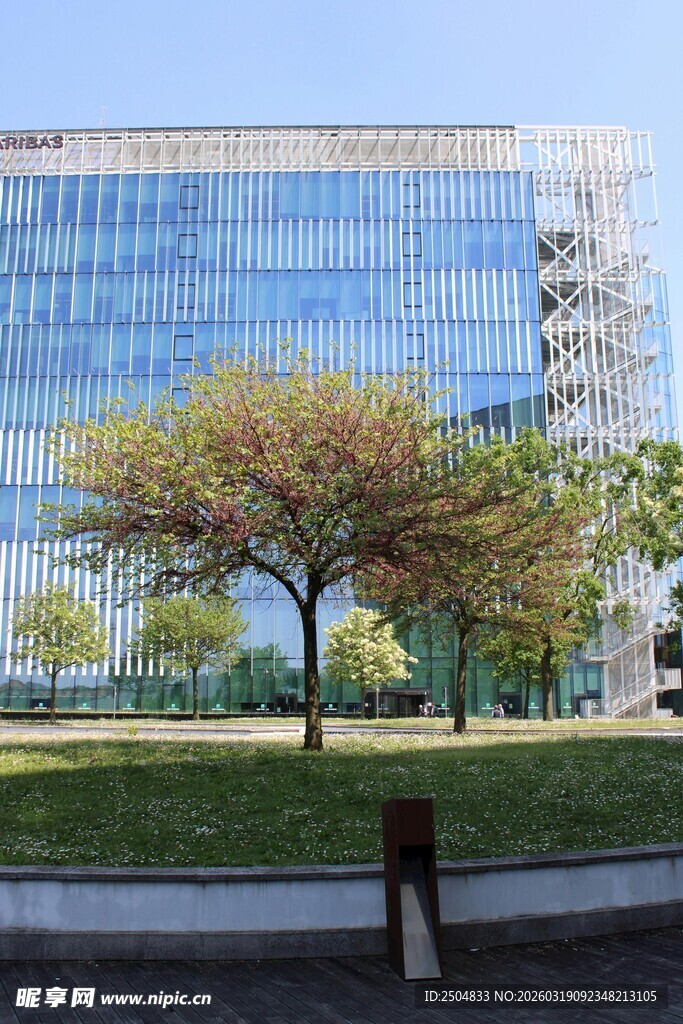 现代玻璃建筑前的绿树