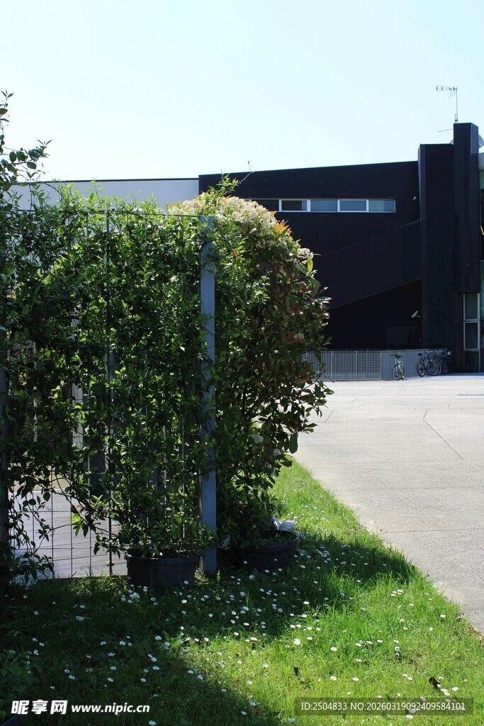 户外绿植与建筑景观