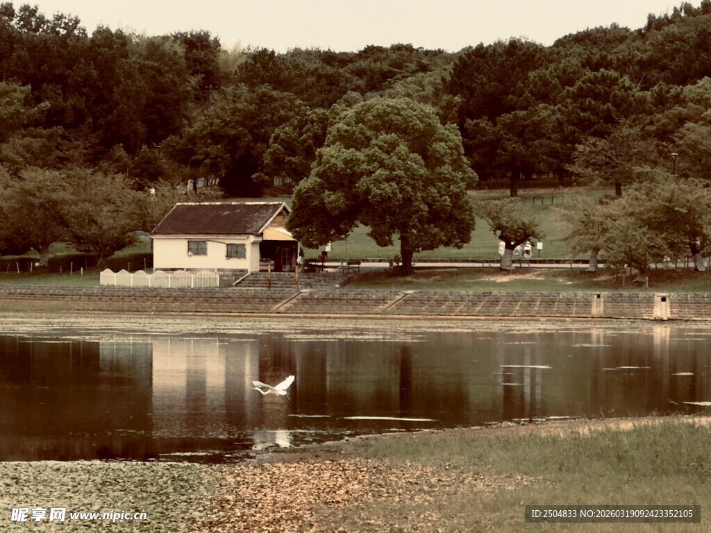 湖畔小屋的静谧风景