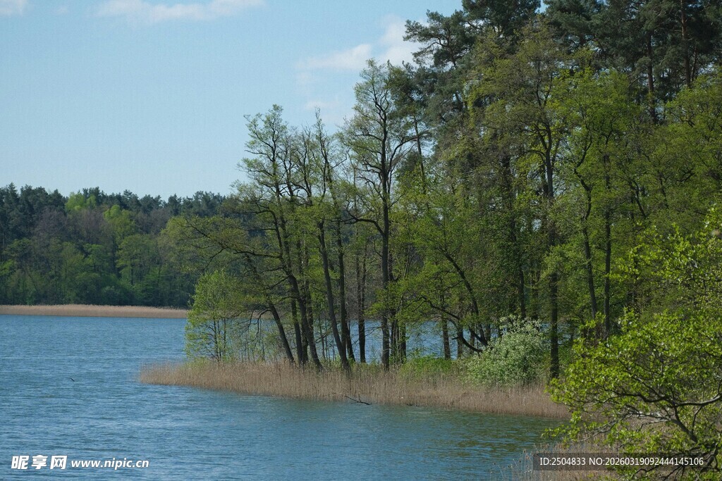 湖畔绿树成荫的美丽风光