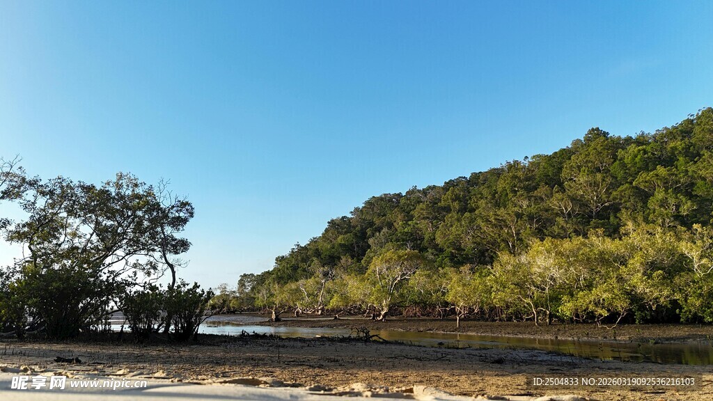 河畔绿树成荫的美丽风光