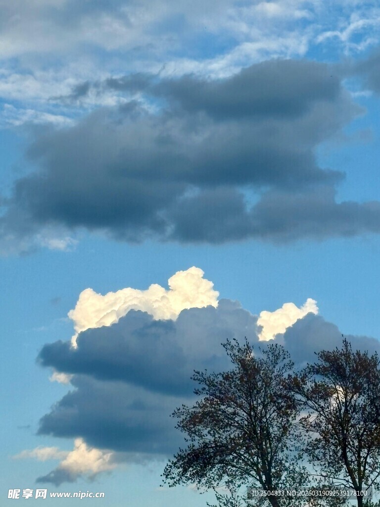 蓝天之下的云朵与树木
