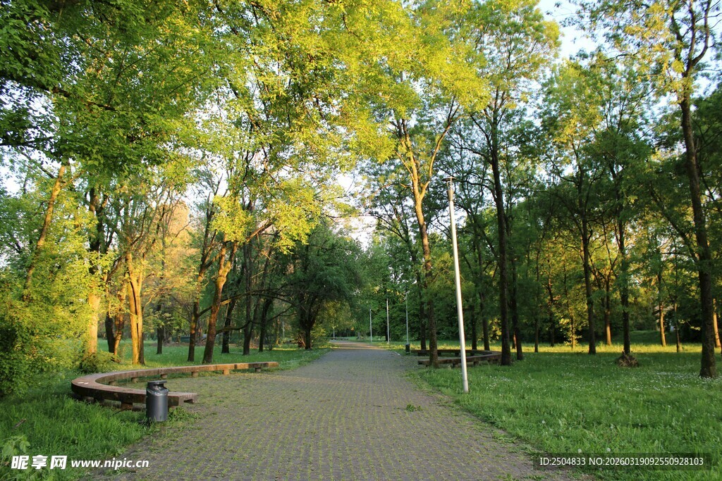 林间小道 静谧的自然景致