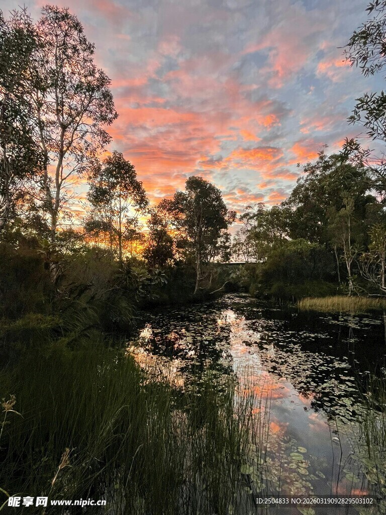 湖畔绚丽晚霞与树林美景