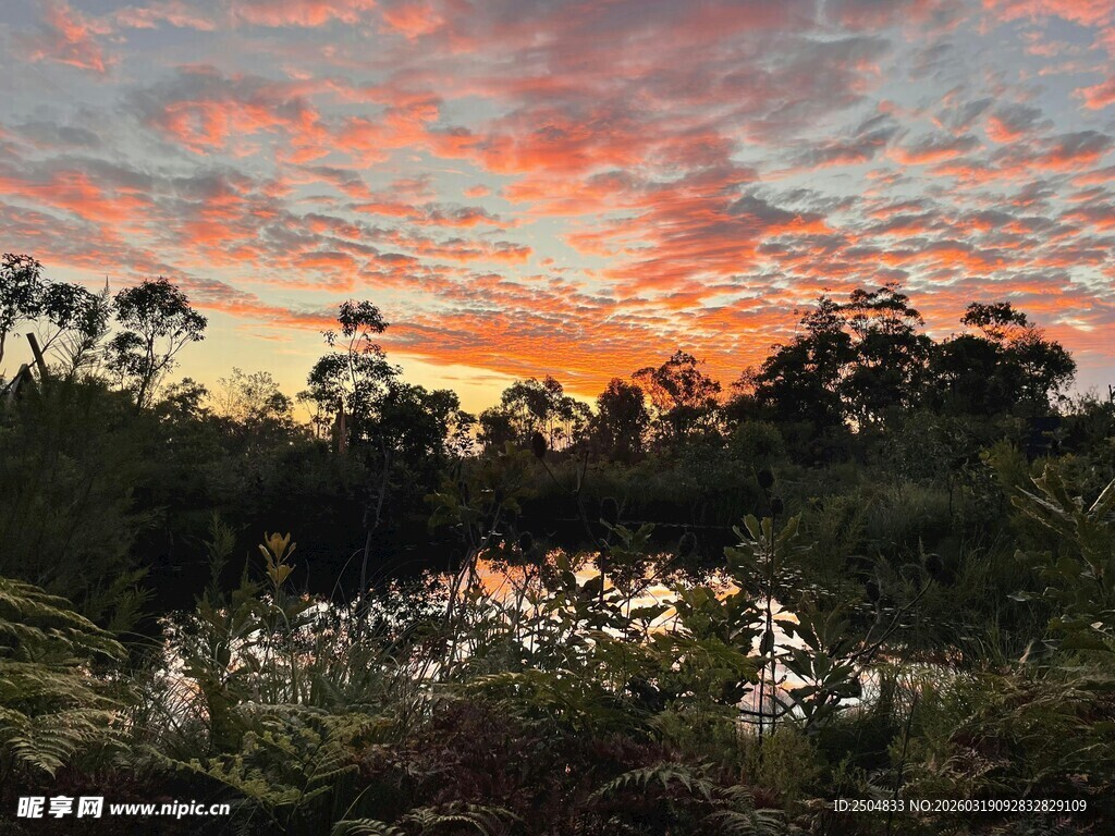 日落时分的森林湖畔美景
