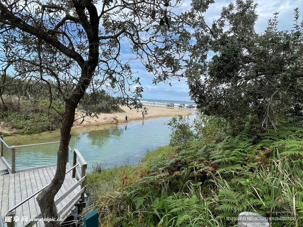 河畔栈道边的自然景致
