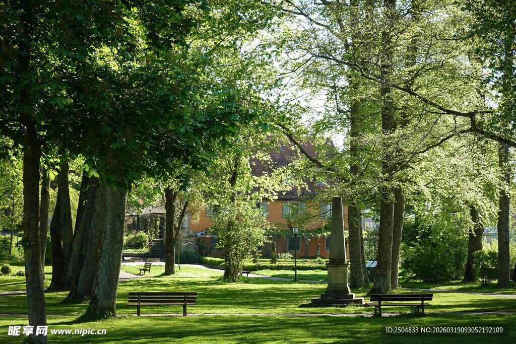 林间静谧草地与休闲长椅