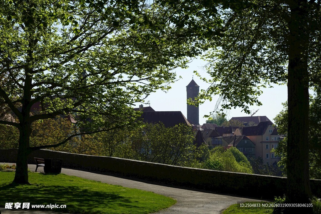 公园绿荫下的远方景致