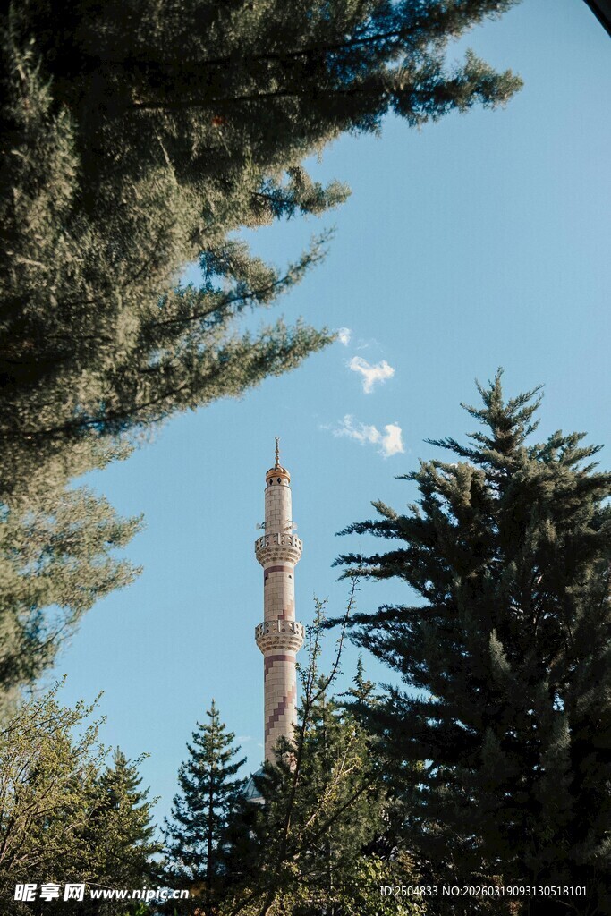 林间高塔与蓝天飞鸟