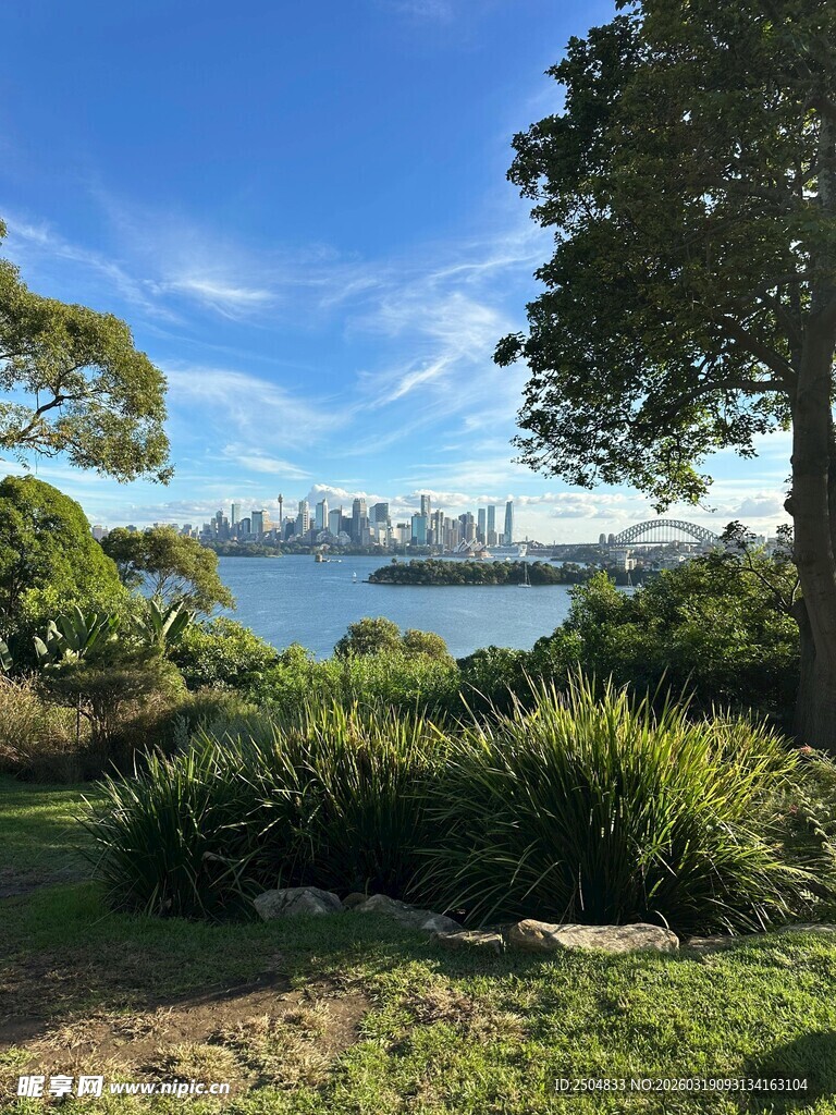 湖畔绿树环绕的美丽景致