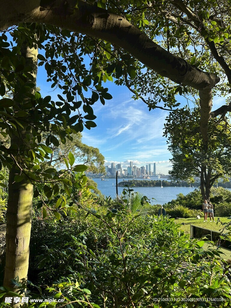 林间远眺城市河畔美景