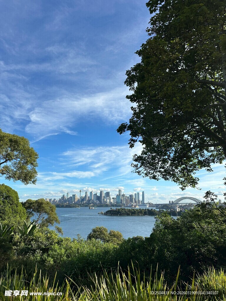 湖畔绿树间的城市天际线