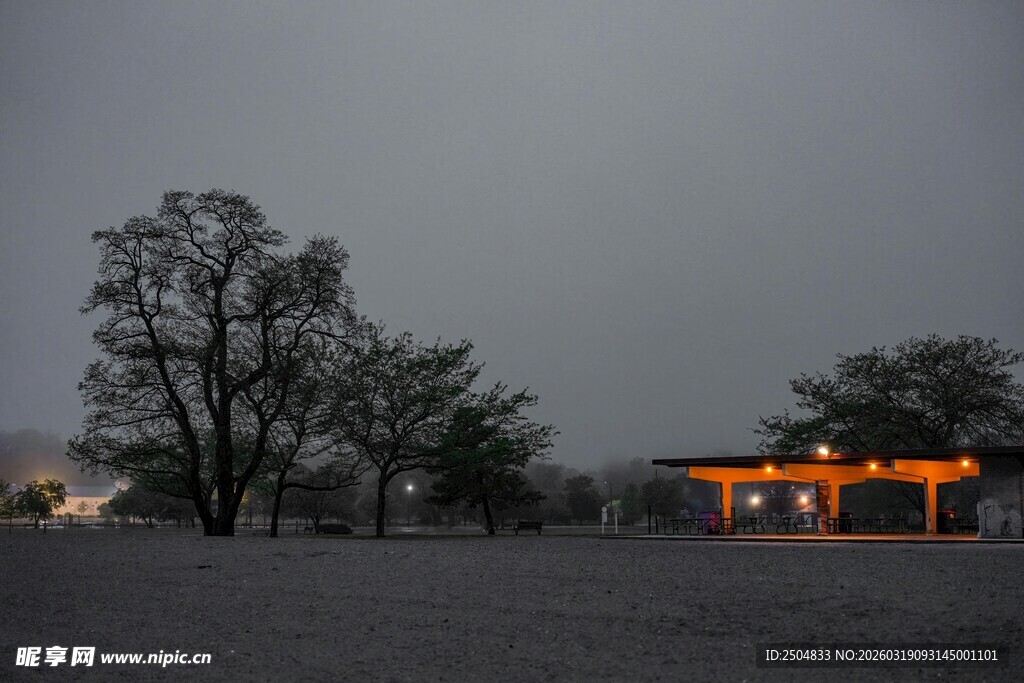 暮色中亮灯小屋与树木