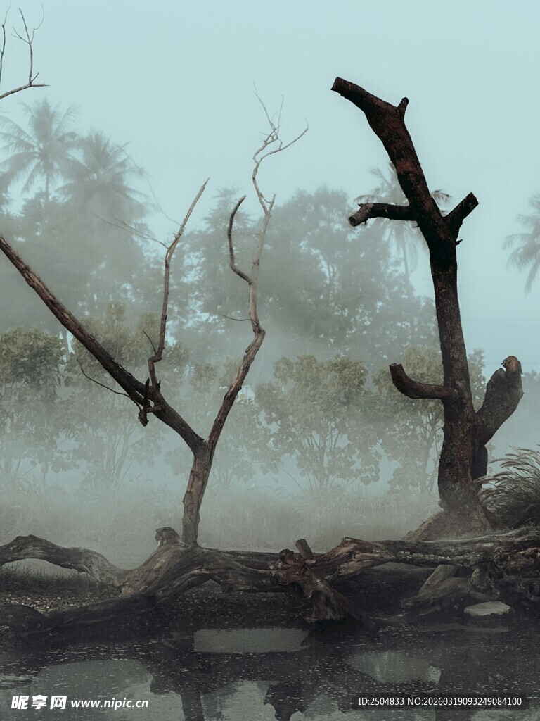 枯树残枝的萧瑟河岸景象