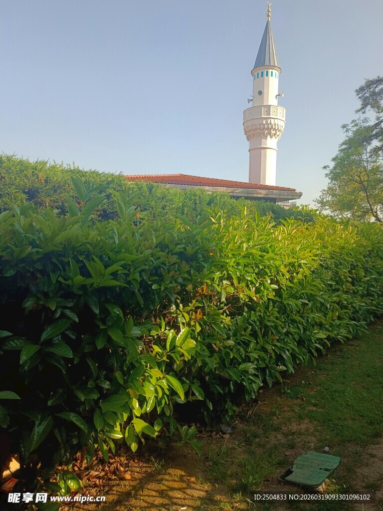 阳光下的尖塔与绿植景观