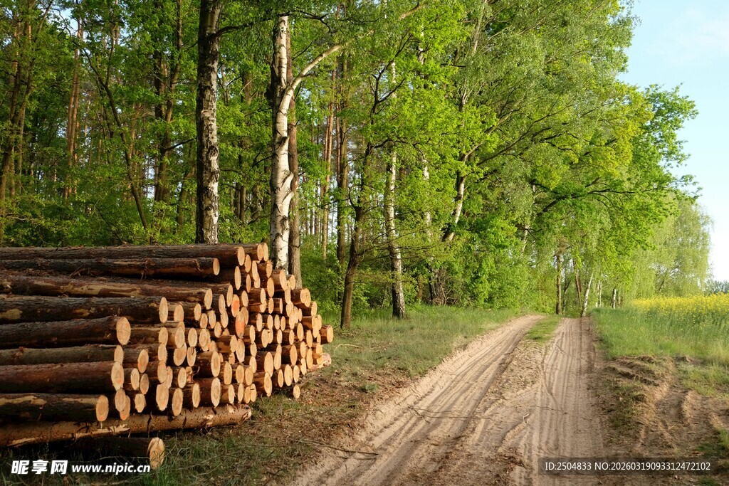林间运木场景