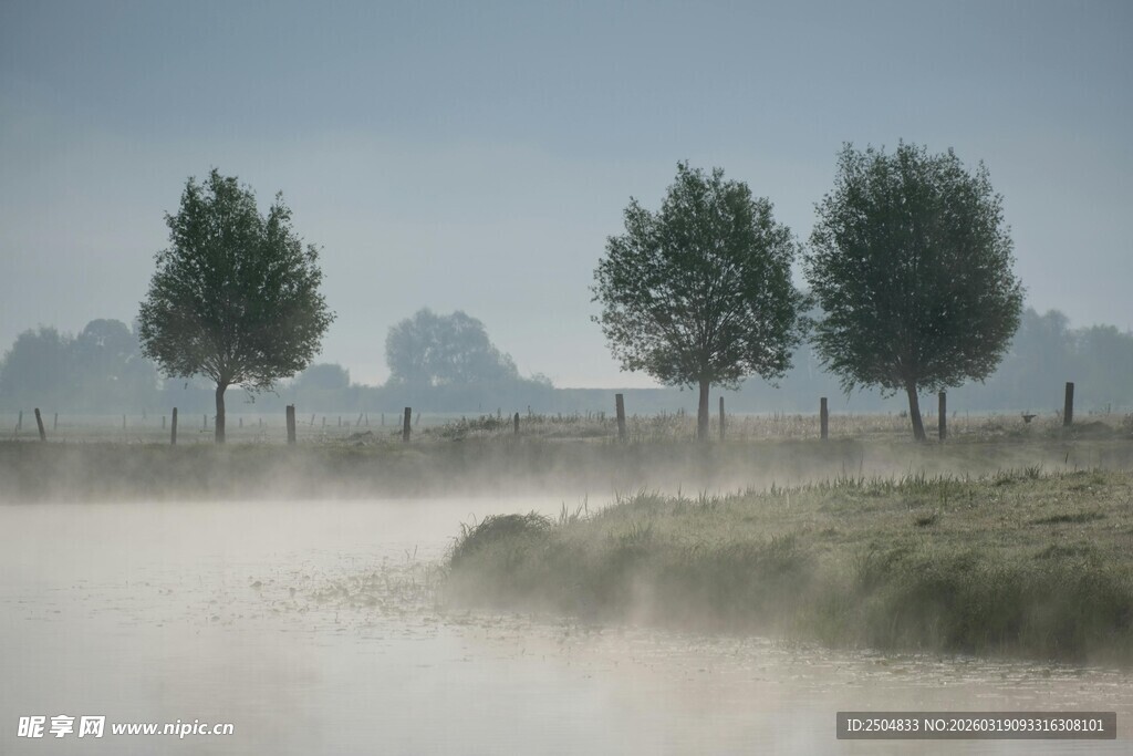晨雾中的静谧树木与河流