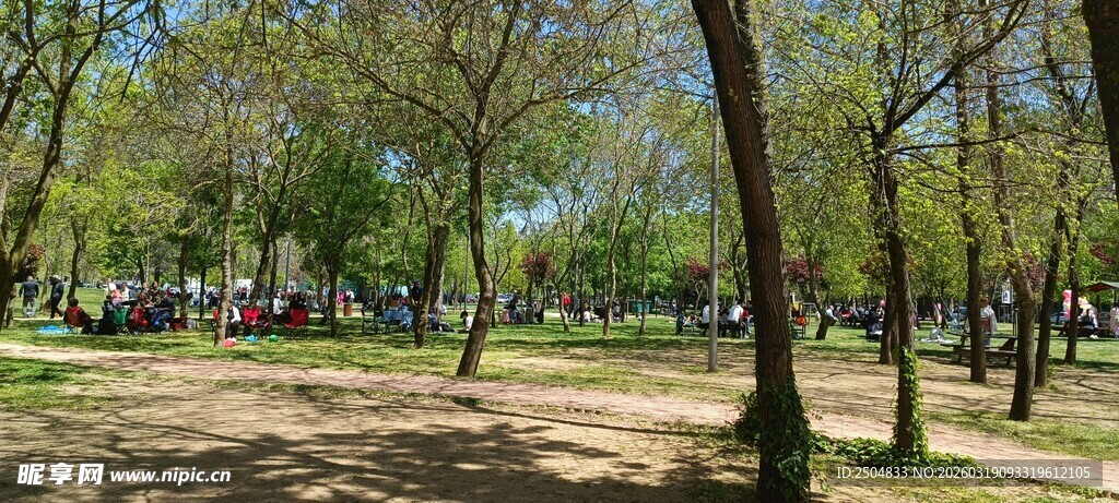 公园绿树成荫的休闲场景