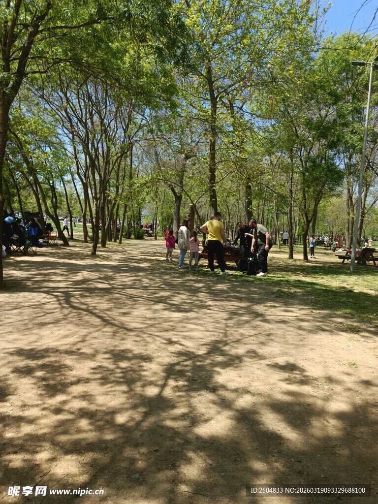 公园中人们享受户外时光