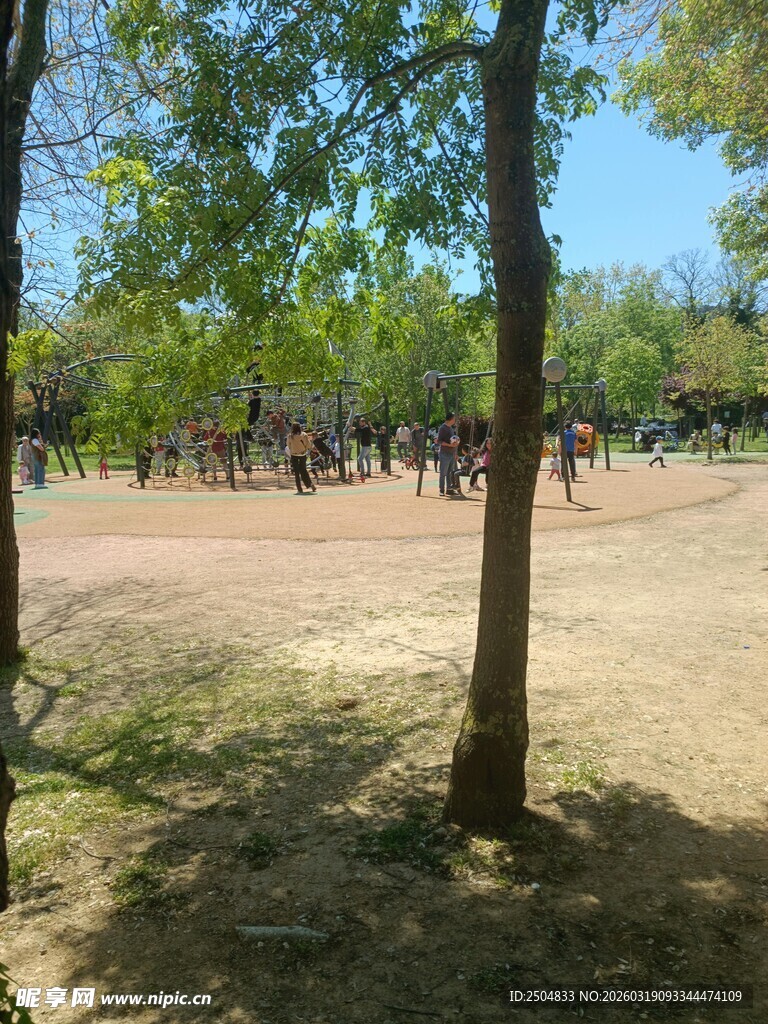 户外树林中的开阔活动场地