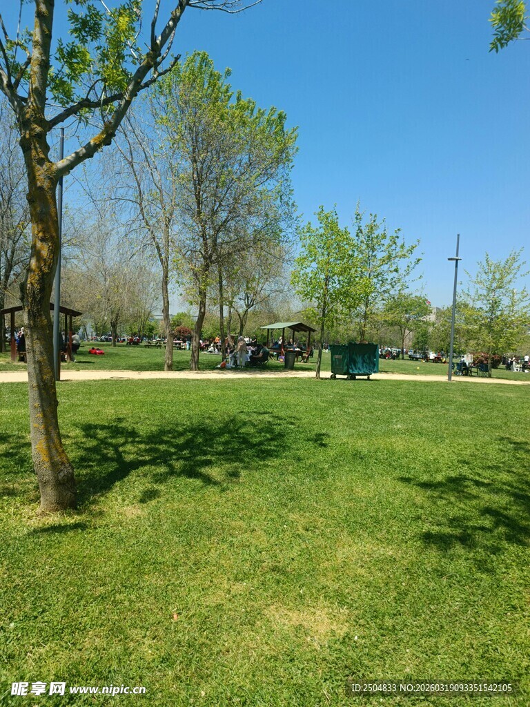 春日公园绿意盎然