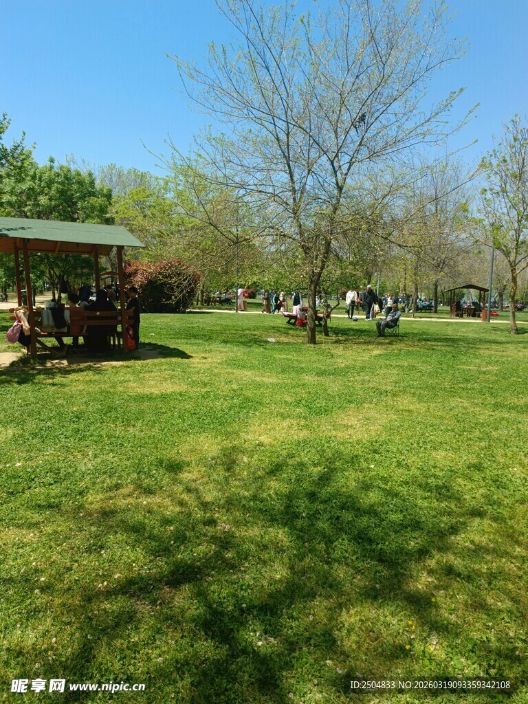 户外草坪休闲场景