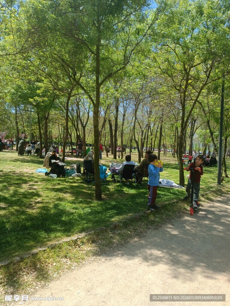 公园草地众人休闲场景