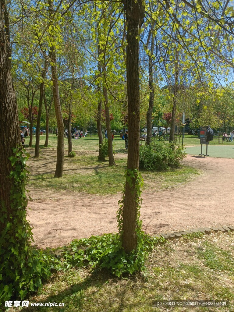 春日林间小道景色