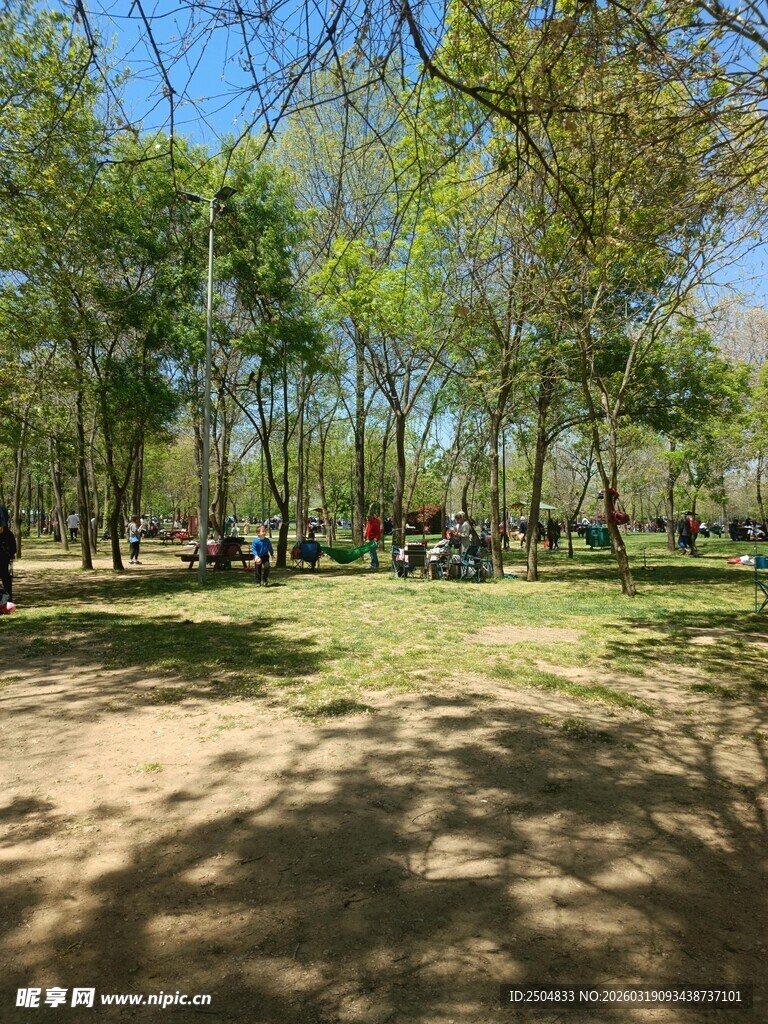 林间草地 惬意休闲场景